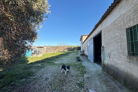 Farm i Planes, Alicante, Planes - € 620.000 | Ref: 10291 - foto 27